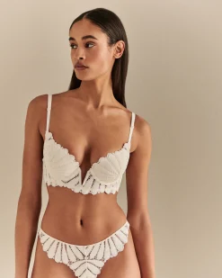 Shop Scott Avenue Padded Bra Woemn Fancy Backs